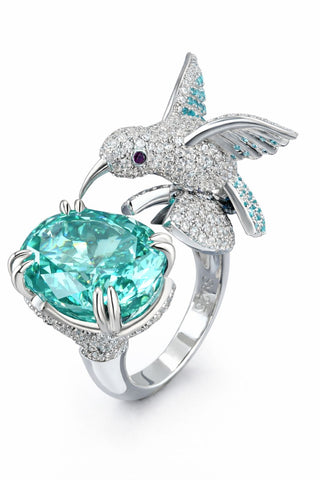 Paraiba Bird's Nest
