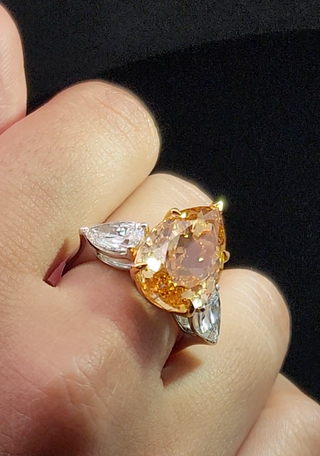 The Golden Phoenix Band