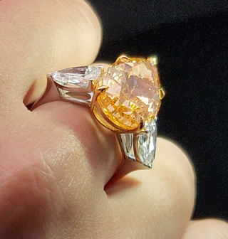 The Golden Phoenix Band